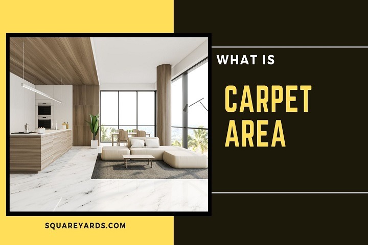 Carpet Area