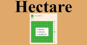 Square Meter To Hectare Conversion Understanding Land Measurements