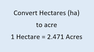 Hectare to Acre Conversion: Know about all the details