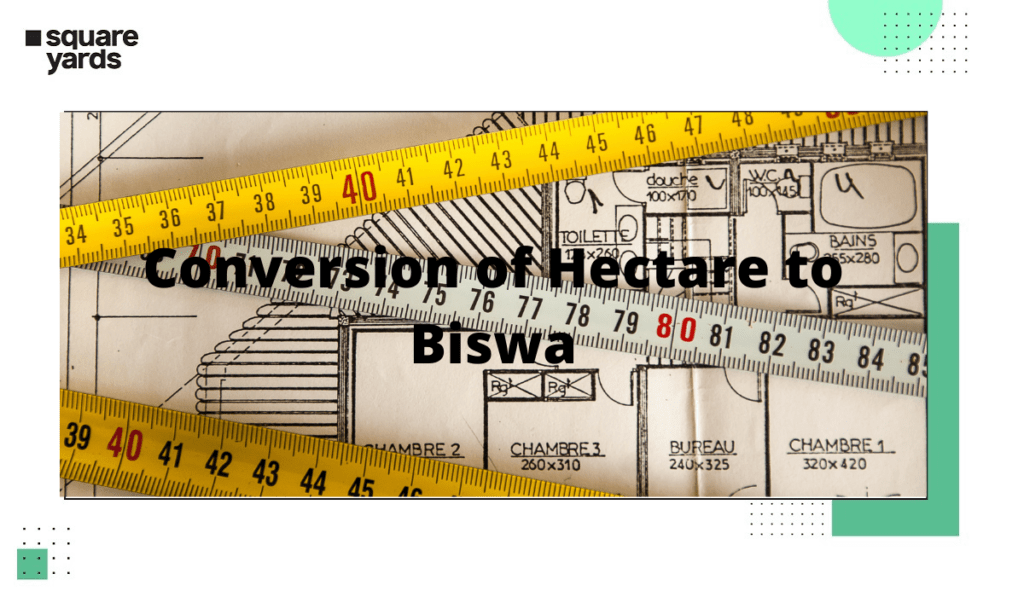 Conversion of Hectare to Biswa