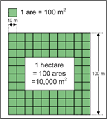 Square Meter To Hectare Understanding A Bit About Measurements