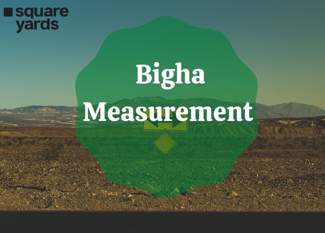 Bigha Measurement Unit