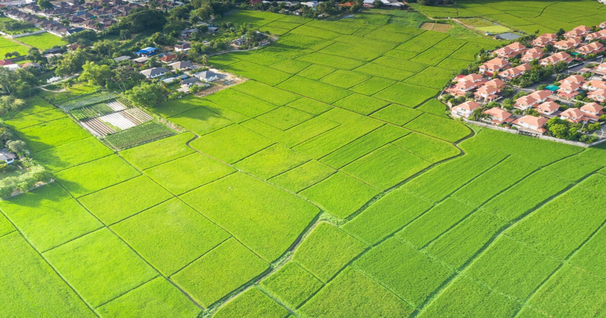 Agricultural Land into Residential Properties