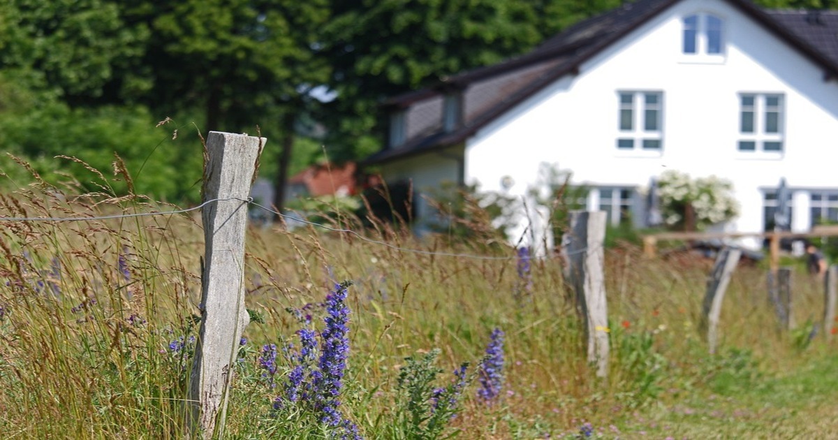 Fencing of plots