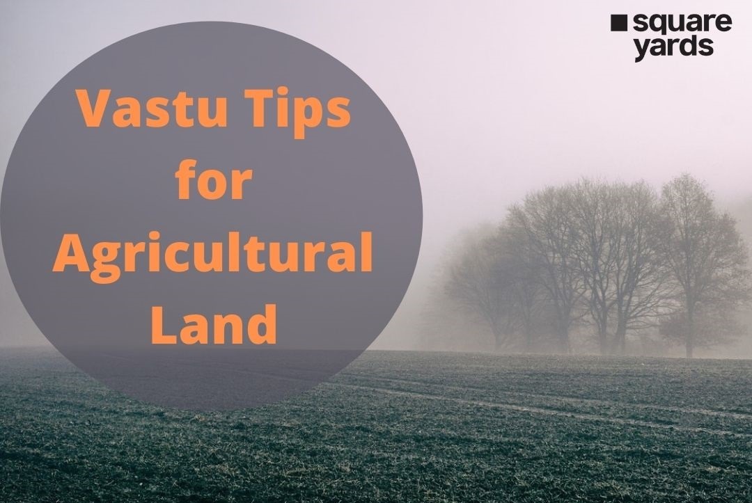 Vastu Tips for Agricultural Land