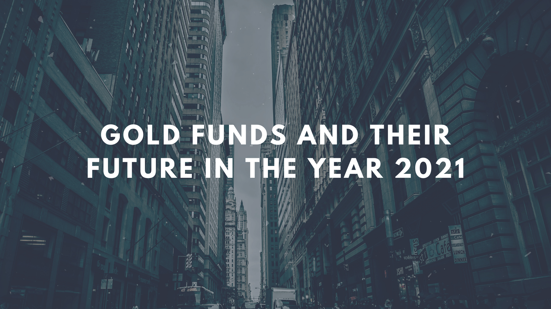 Gold funds and their future