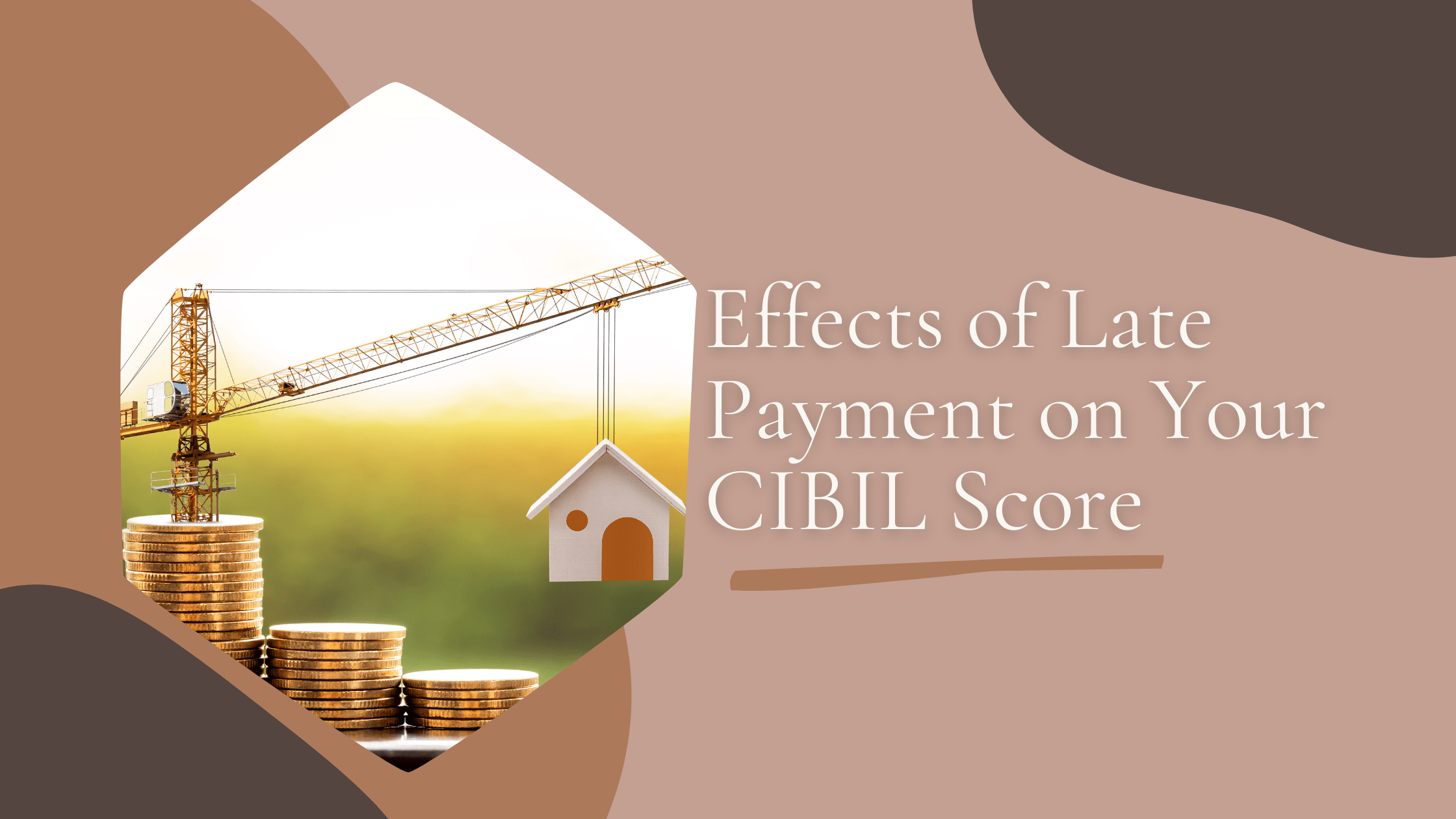 Your CIBIL Score