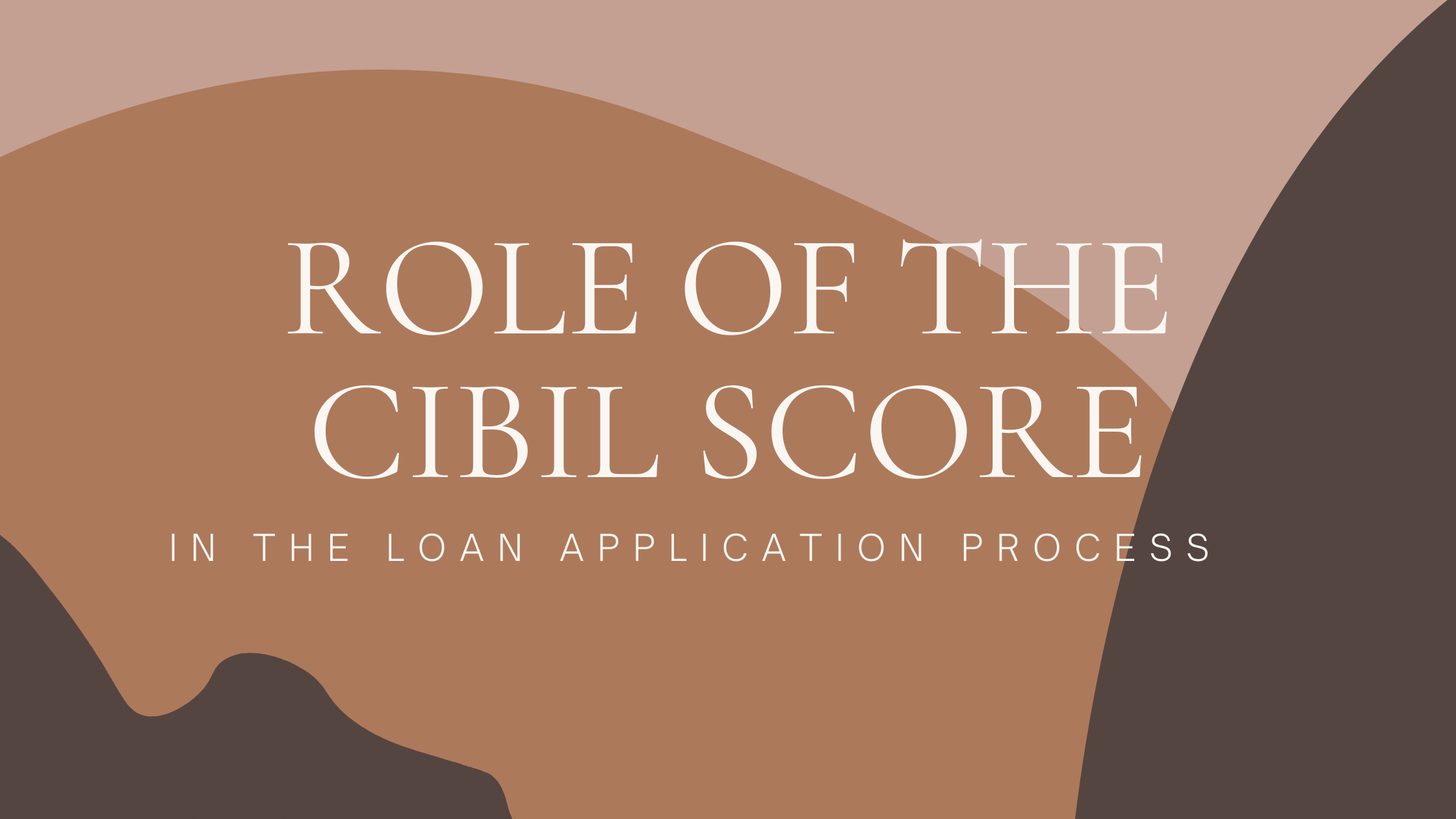 Role of the CIBIL Score