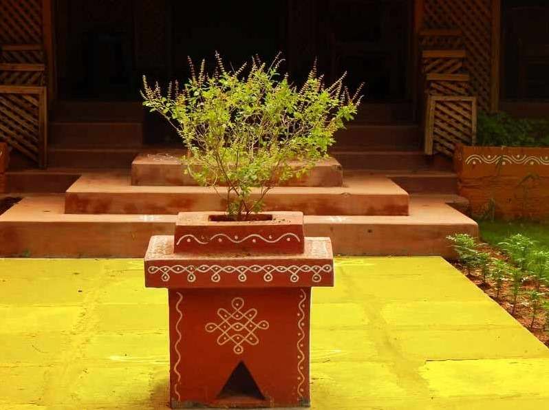 Tulsi-plant-Direction-at-home