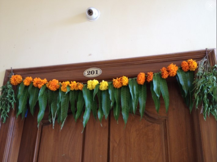 Mango Leaves at Entrance