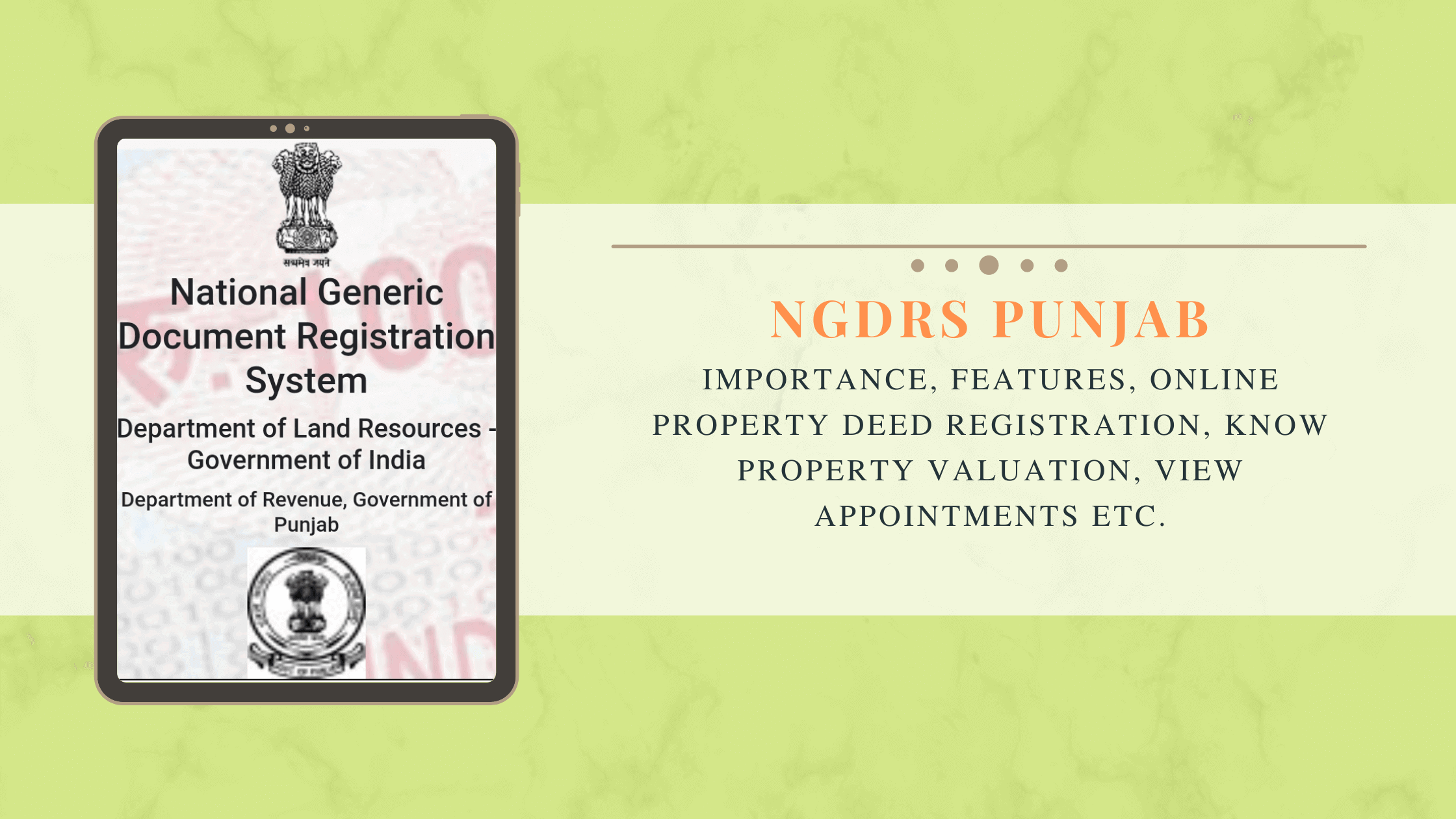 ngdrs-punjab