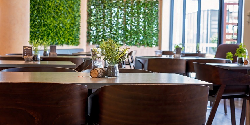 Plants for Restaurant as per Vastu