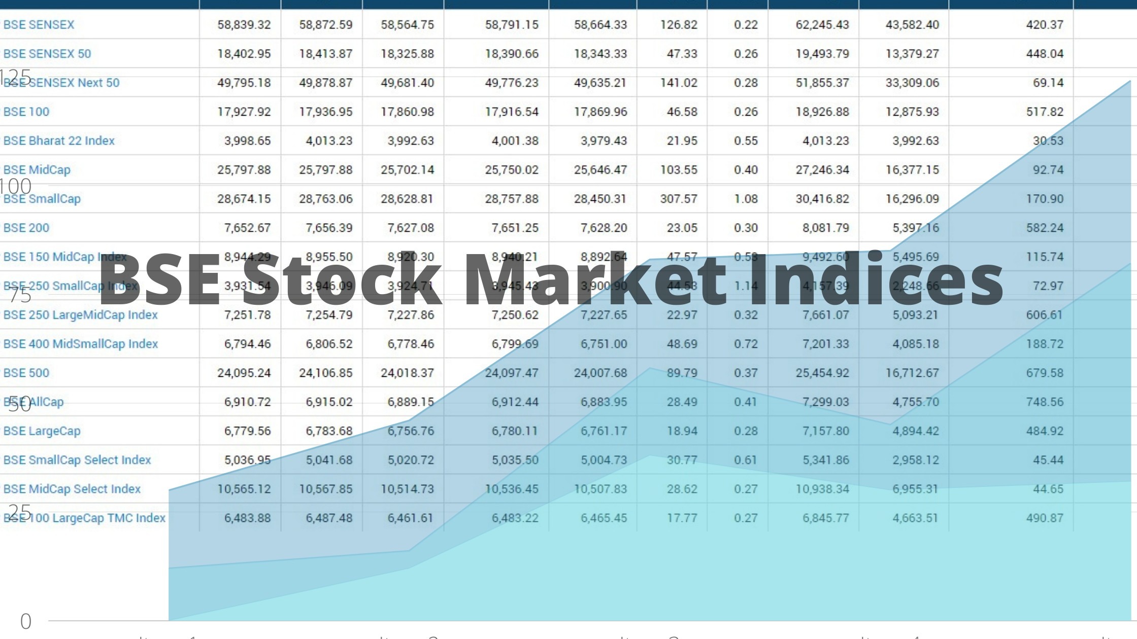 What is the meaning and importance of BSE Indices?