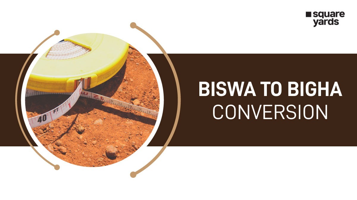 One Biswa In Square Yards One Biswa In Square Yards