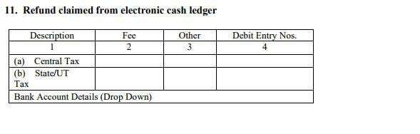 Electronic Cash Ledger