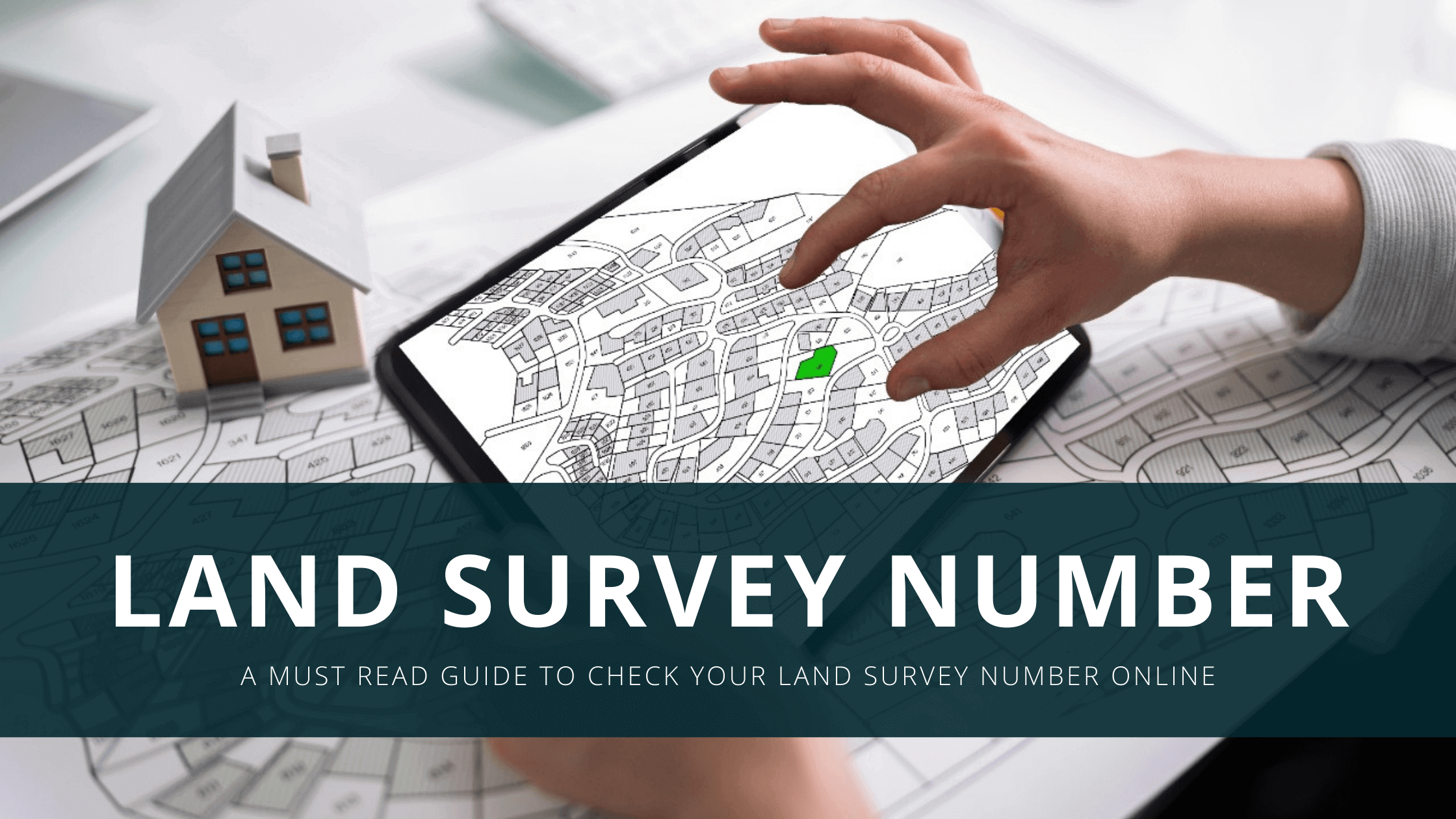 land-survey-number