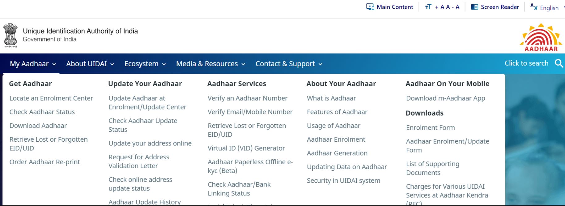 e- Aadhaar card