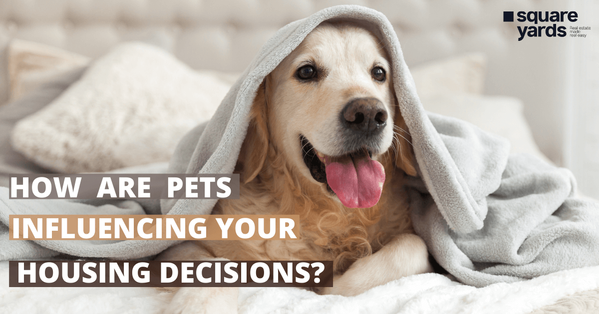 How Pets Affects Housing Decisions