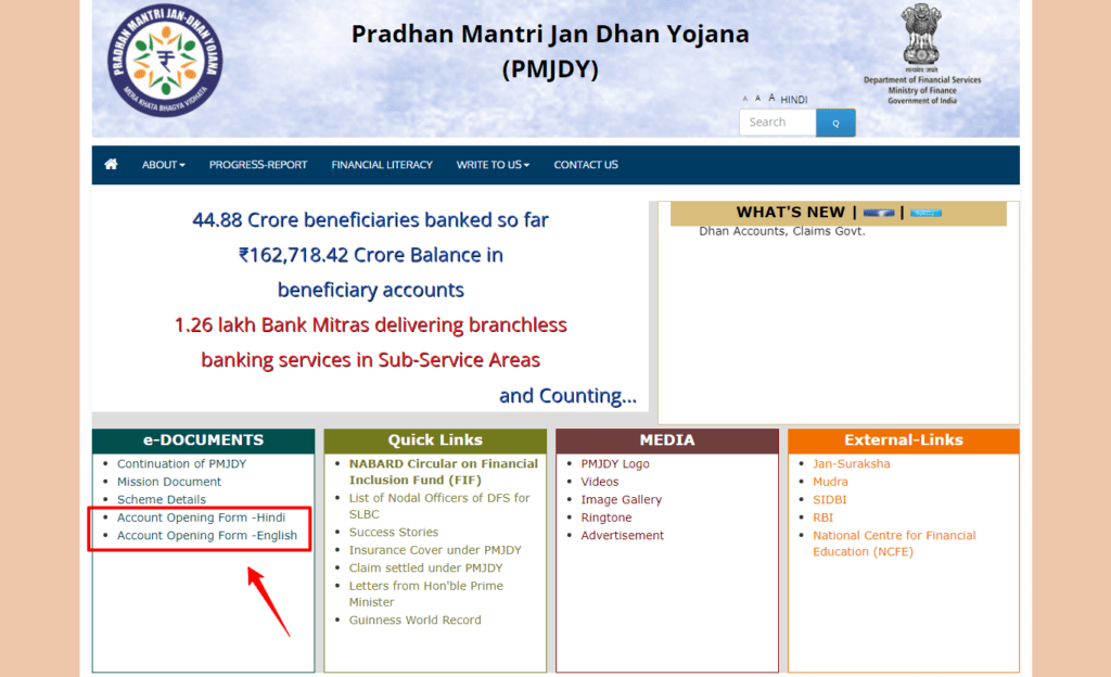 Jan Dhan Yojana account opening form