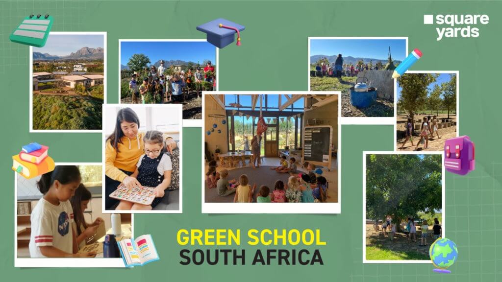 Touring the Green School South Africa A Sustainable Campus