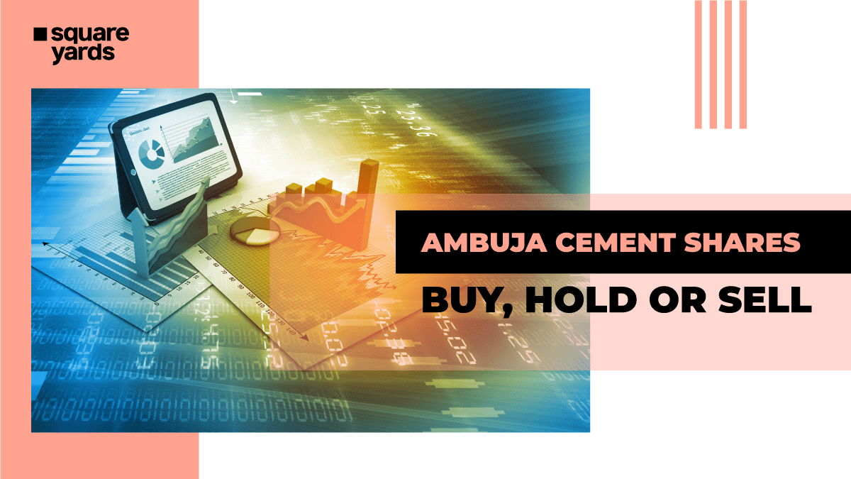 Ambuja Cement share price