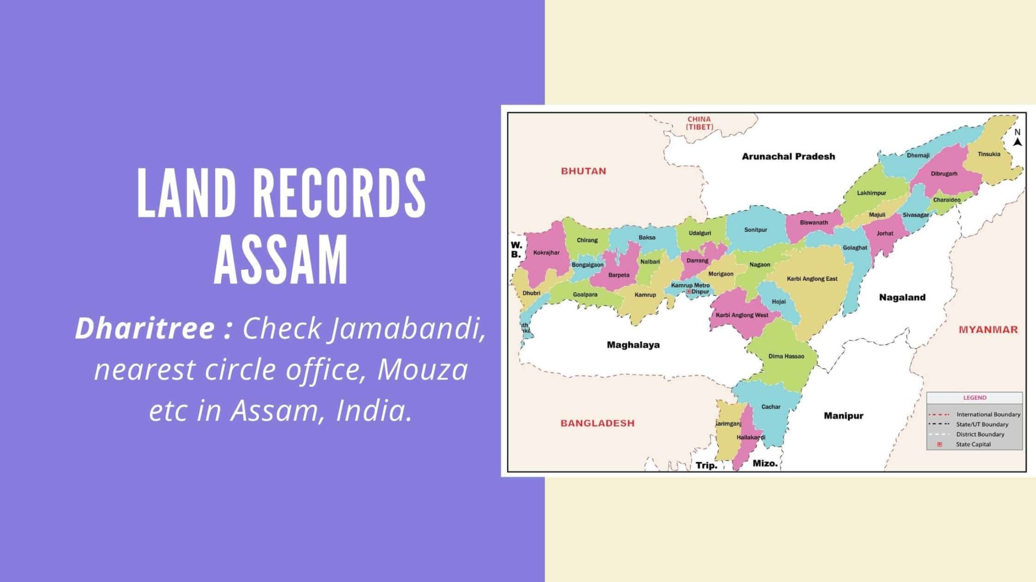 Dharitree Assam How to View Land Records Assam Online