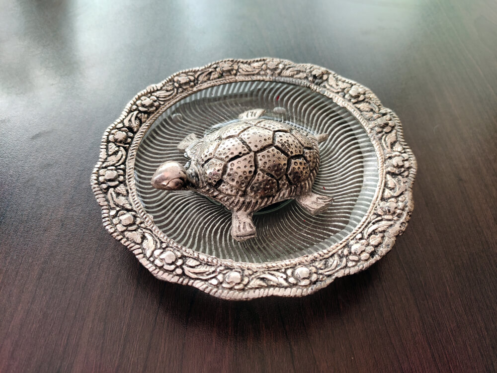 Tortoise Vastu Direction