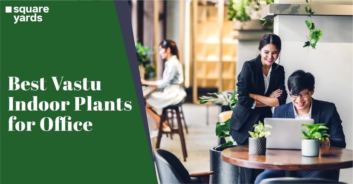 indoor plants as per vastu