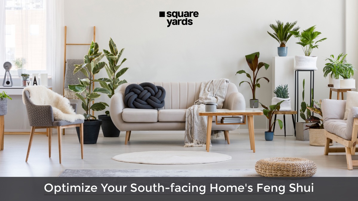 South facing house feng shui