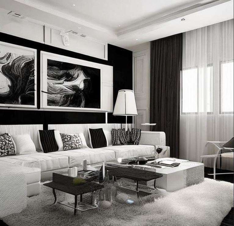 classic_black__white_colour_combination_for_living_room