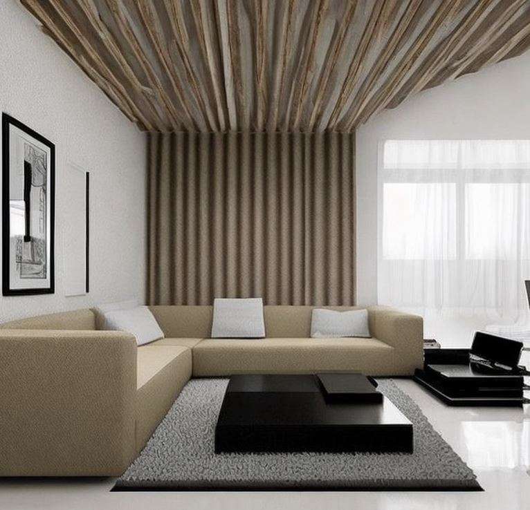 minimalist_interior_design_accents_living_room