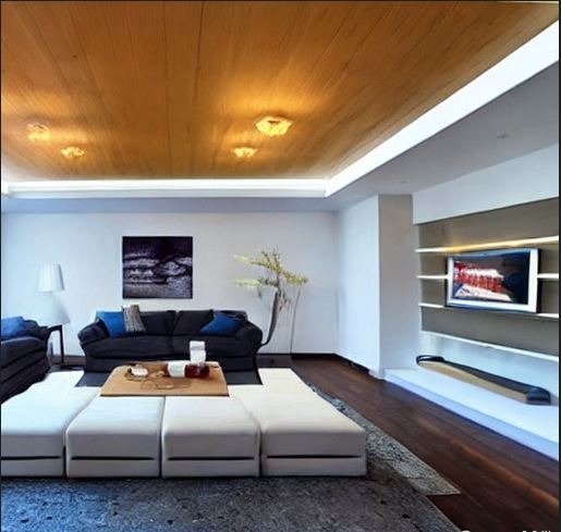 living with polished false ceiling