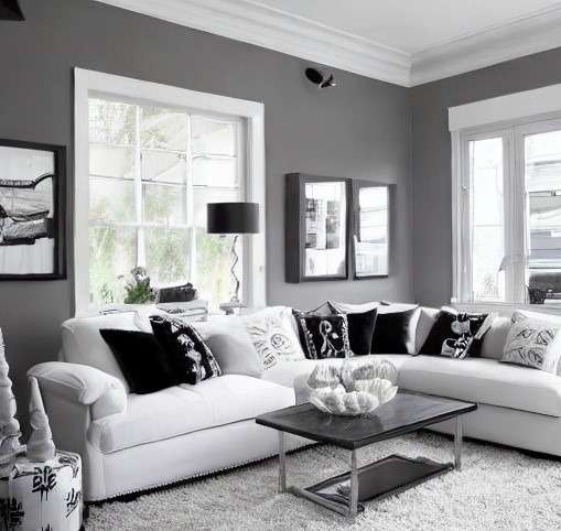 white and grey living room clur cmbintin