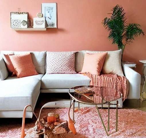Peach Colour Combination for Living Room