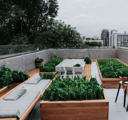 the green rooftop