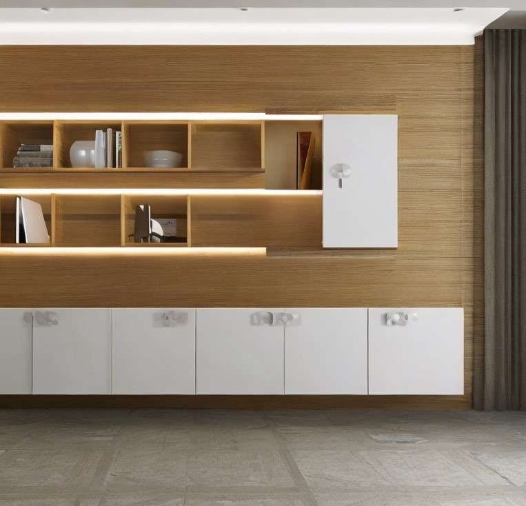 Contemporary Cabinet Design For Hall