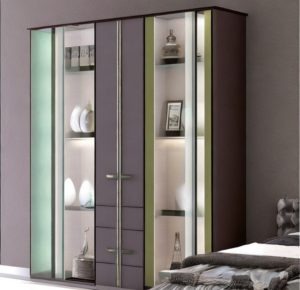 22 Perfect Wall Almirah Design: Embrace Style and Security