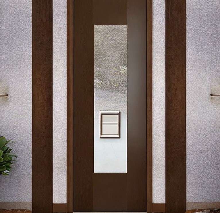 Polished Wood Flush Door Design