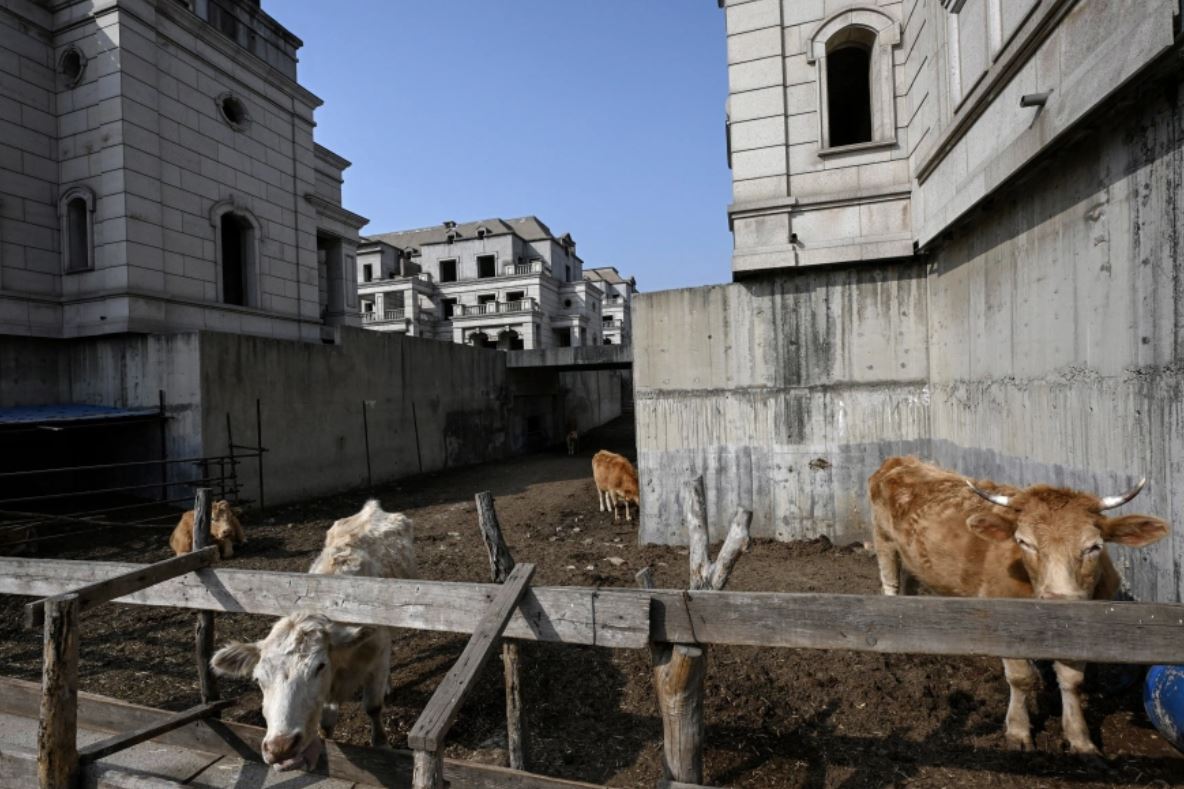 Ghost Cities in China