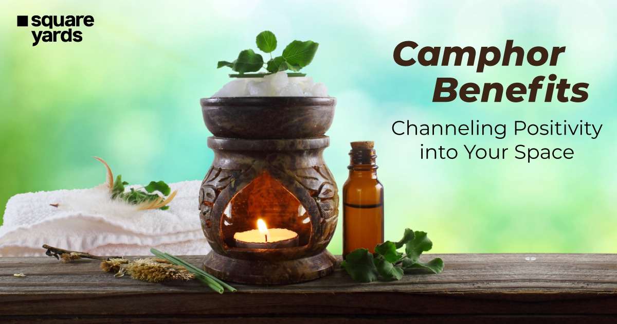 Vastu Tips for Camphor