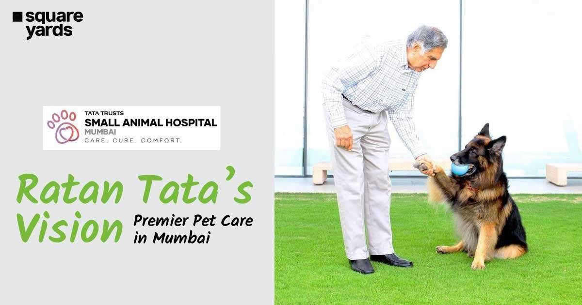 Ratan Tata's Animal Hospital in Mumbai