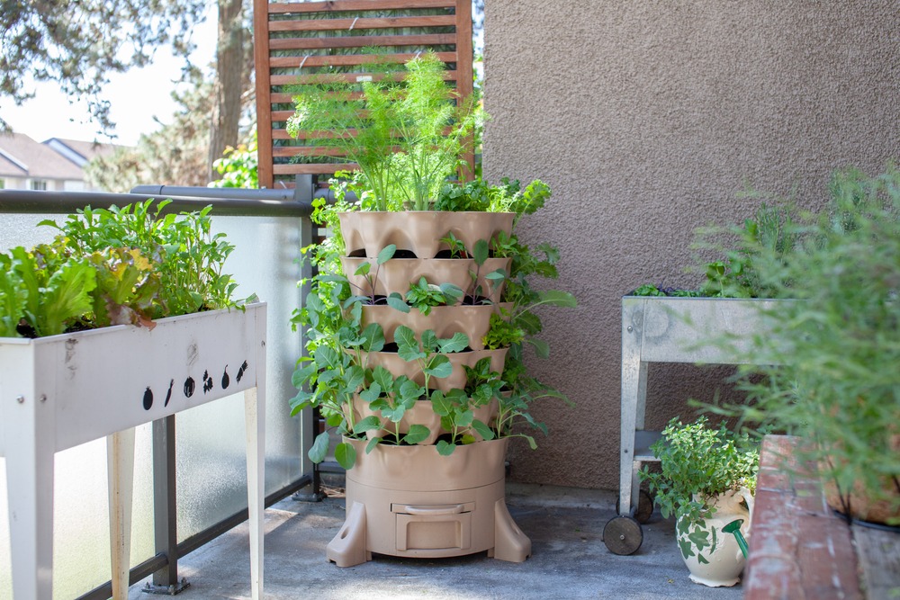 Vertical Gardens