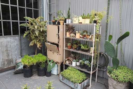 Plant Display Stand for Mini Home Garden
